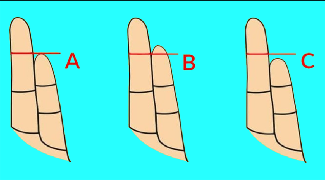 How does the shape of your finger determine your personality?